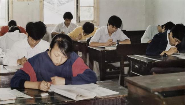 卢哲3.png 卢哲3.png