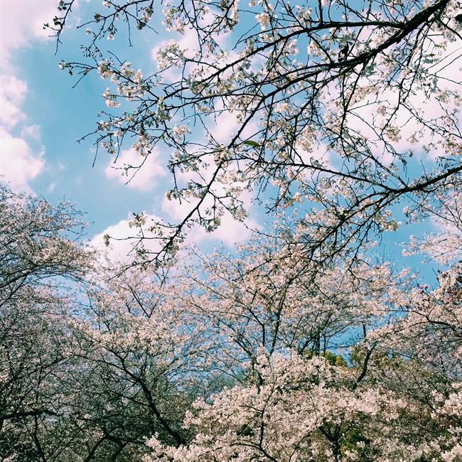 绍兴.jpg 绍兴.jpg